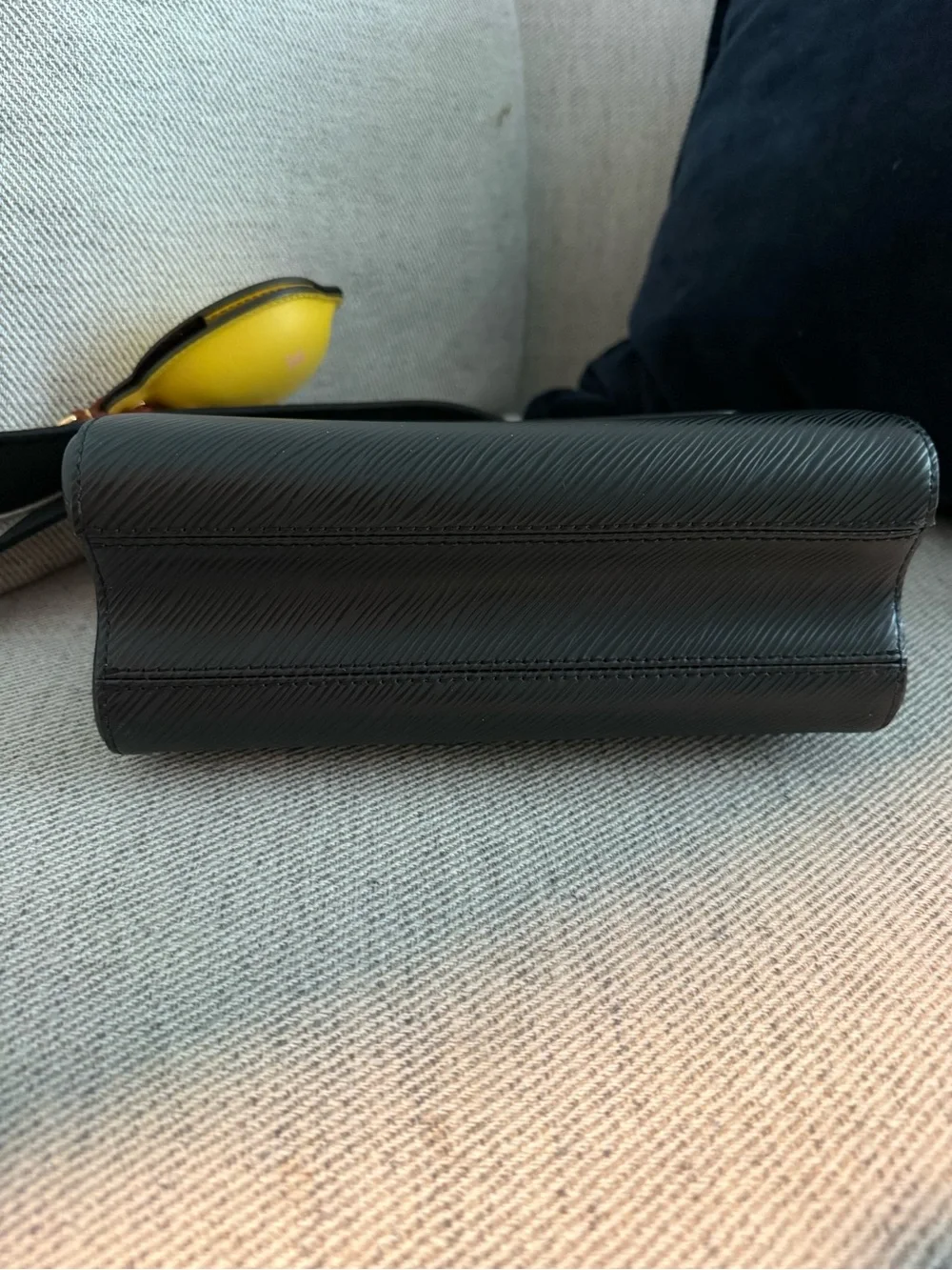 Louis Vuitton lv epi